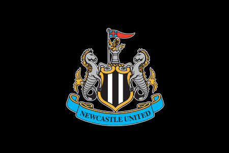 Unclarity Occurred With the Sale of the Newcastle Club
